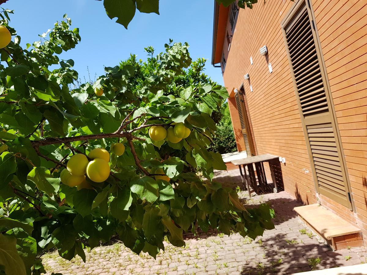 Villa "Green Paradise" Divjaka Exterior foto